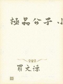 极品公子 小说