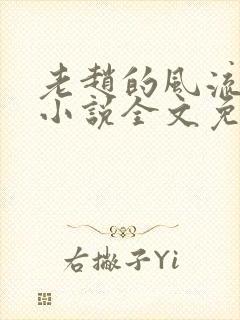 老赵的风流人生小说全文免费阅读