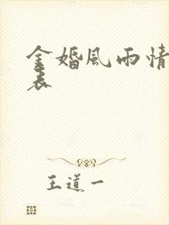 金婚风雨情演员表