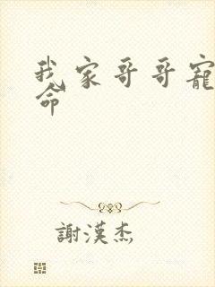 我家哥哥宠妹如命封面