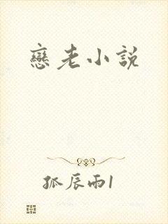 恋老小说