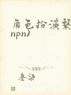 角色扮演系统(npn)封面