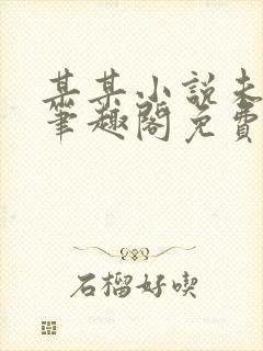 某某小说未删减笔趣阁免费阅读