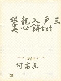 双龙入户三人行夹心饼txt