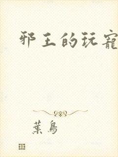 邪王的玩宠