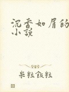 沉香如屑的原著小说