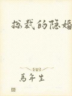 总裁的隐婚新娘封面