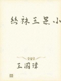 丝袜玉足小说