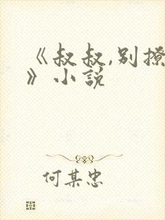 《叔叔,别撩我》小说封面