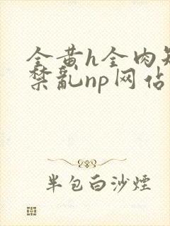 全黄h全肉短篇禁乱np网站