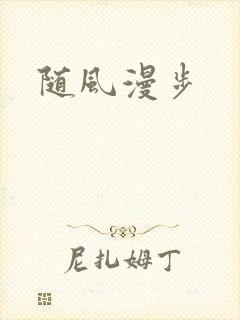 随风漫步封面