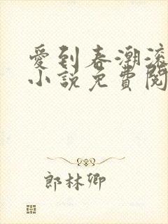 爱到春潮滚滚来小说免费阅读
