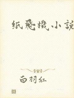 纸飞机小说