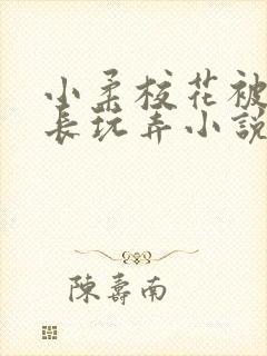 小柔校花被老校长玩弄小说封面