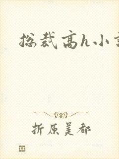 总裁高h小说