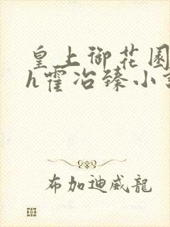 皇上御花园hlh霍冶臻小说封面