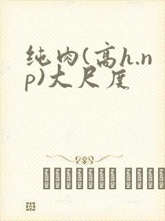 纯肉(高h.np)大尺度封面