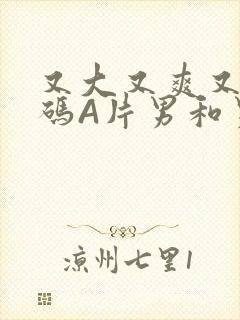 又大又爽又黄无码A片男和男