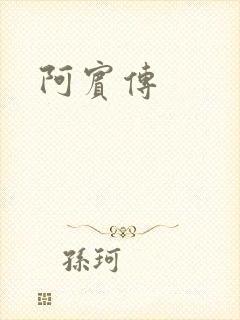 阿宾传封面