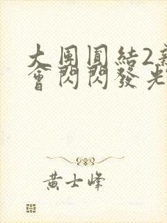 大团圆结2亲情会闪闪发光亲情会2