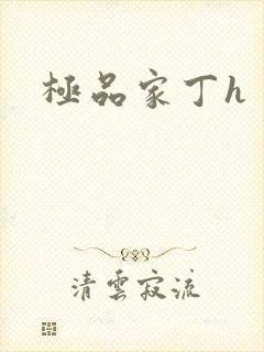 极品家丁h