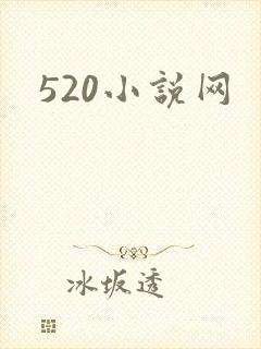 520小说网封面