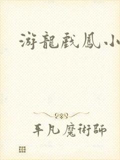 游龙戏凤小说