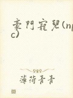 豪门宠儿(npc)