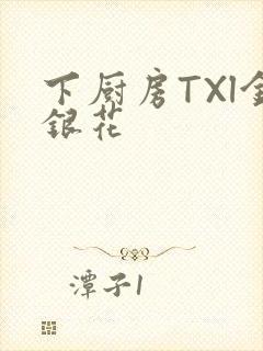 下厨房TXl金银花封面
