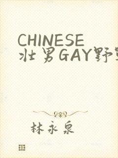 CHINESE壮男GAY野战强迫TUBE封面