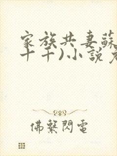 家族共妻苏苏(十千)小说免费封面