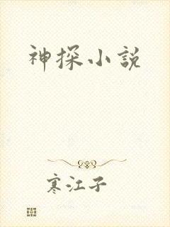 神探小说封面