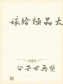 嫁给极品太子封面