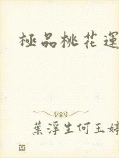 极品桃花运