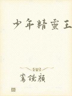 少年精灵王封面