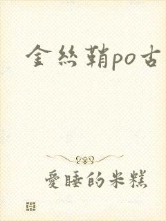 金丝鞘po古言