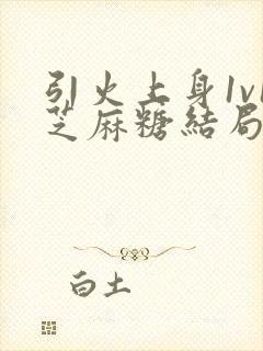 引火上身1v1芝麻糖结局封面