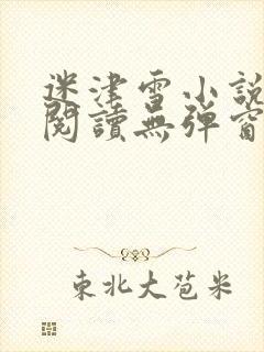迷津雪小说免费阅读无弹窗