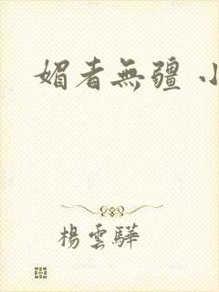 媚者无疆 小说封面