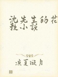 沈先生的花式调教小说
