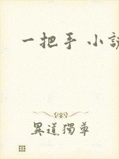 一把手 小说