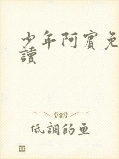 少年阿宾免费阅读