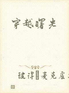 穿越曙光封面