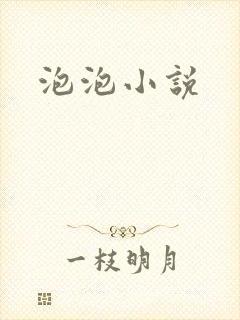 泡泡小说封面