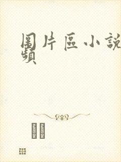 图片区小说区视频