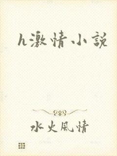 h激情小说