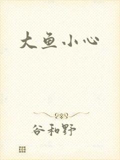 大鱼小心封面