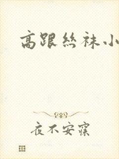 高跟丝袜小说