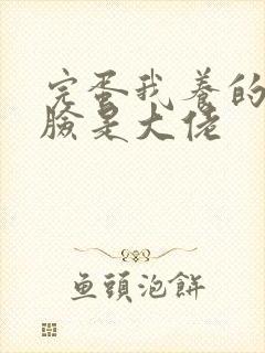 完蛋我养的小白脸是大佬