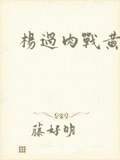 杨过肉战黄蓉